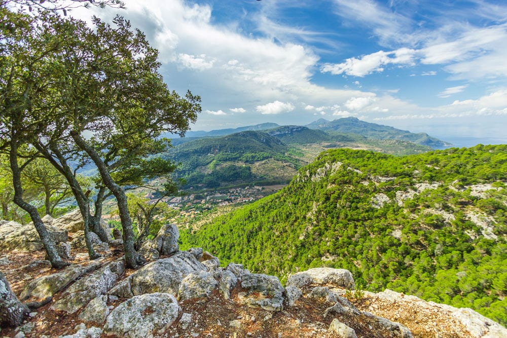 Blick auf die Sierra de Tramuntana, Foto: © MF / Fotolia.com