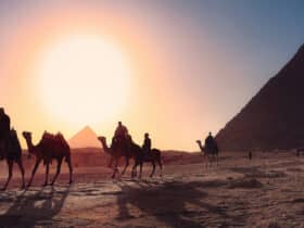 Per Kamel zu den Pyramiden in Ägypten