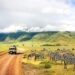 Safari in der Wildnis von Afrika