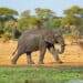 Afrika – Klimazonen und Regionen eines vielseitigen Kontinents, Foto: Alex / Unsplash