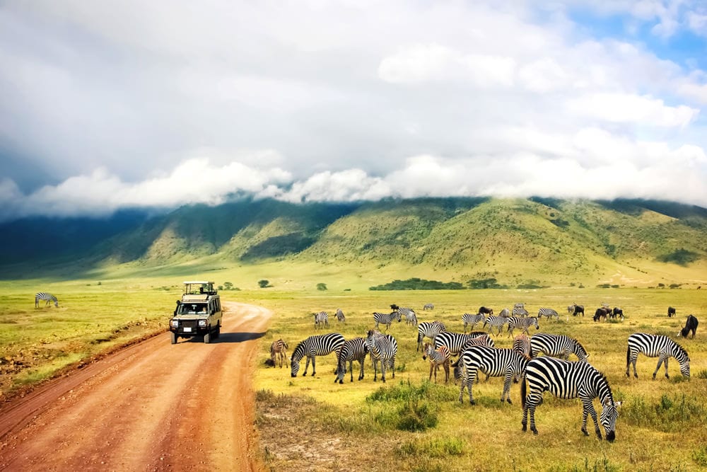 Safari in der Wildnis von Afrika
