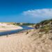 Courant d'Huchet / Landes