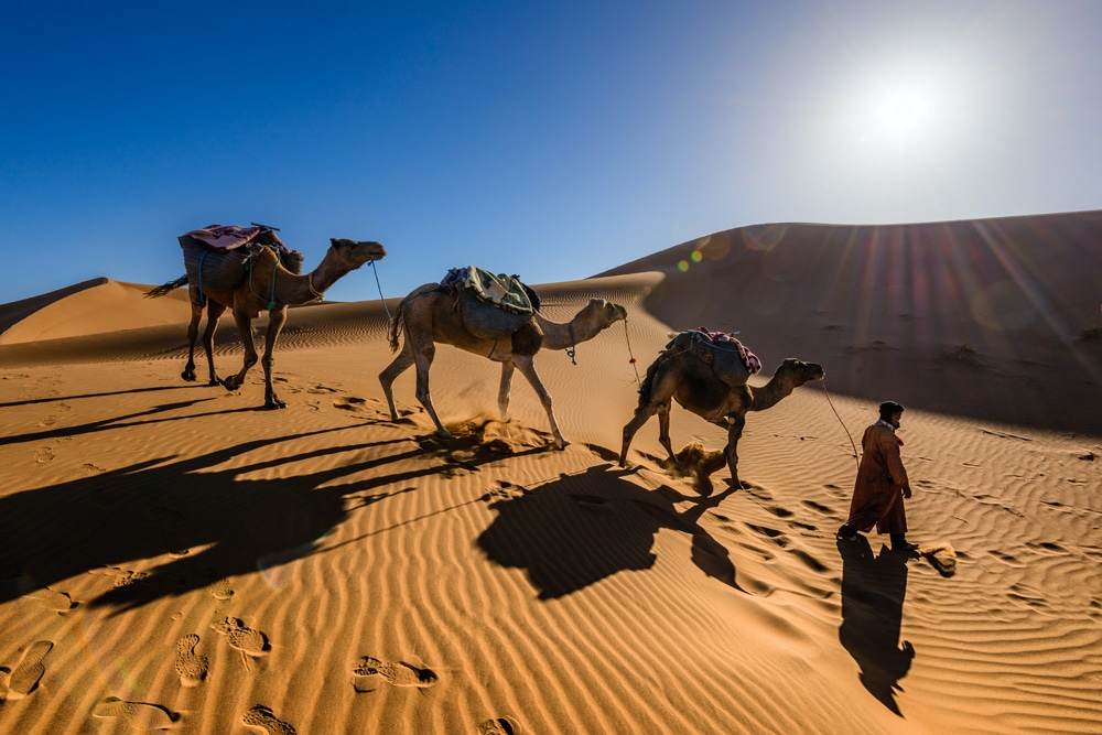 Wüstenreise durch die Sahara, Foto: Sergey Pesterev / Unsplash