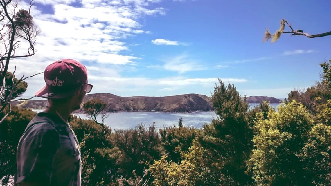 Whangaroa in Neuseeland, Foto: Albert Renn / Unsplash