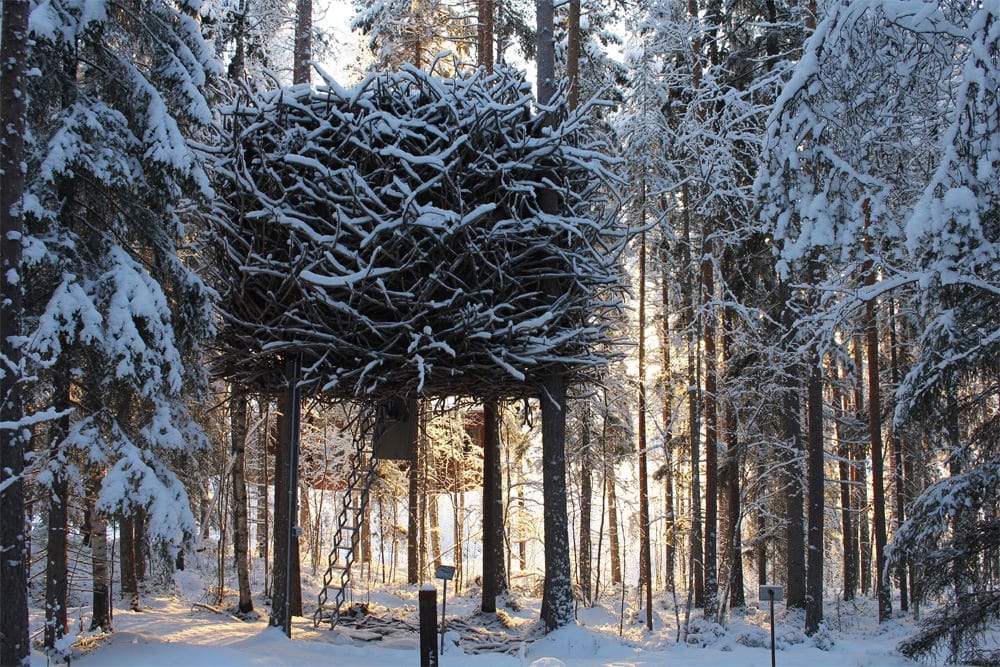 Bird's Nest im Winter, Foto: Treehotel