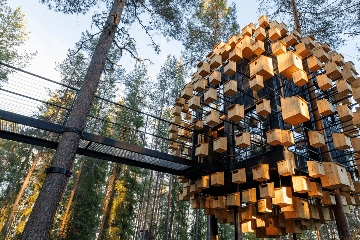 Biosphere, Photo: Mats Engfors Fotographic / Treehotel
