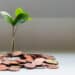 Geld beim Campen sparen? Das ist möglich! Foto: Micheile Henderson / Unsplash