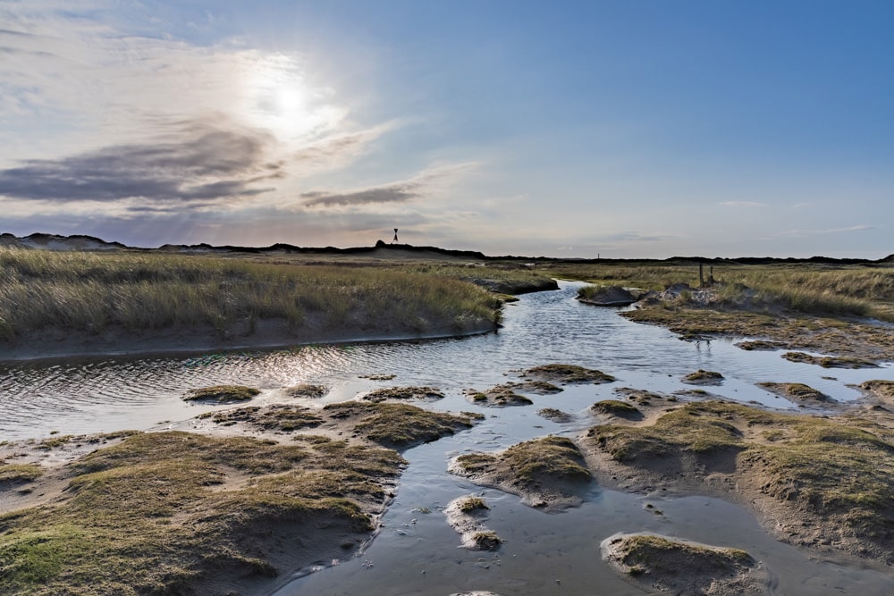 Die Natur auf Norderney ist wunderschön, Foto: Dominik Lückmann /  Unsplash