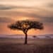 Entdecke die nächsten Sehenswürdigkeiten dieser Welt, Foto: Hu Chen / Unsplash