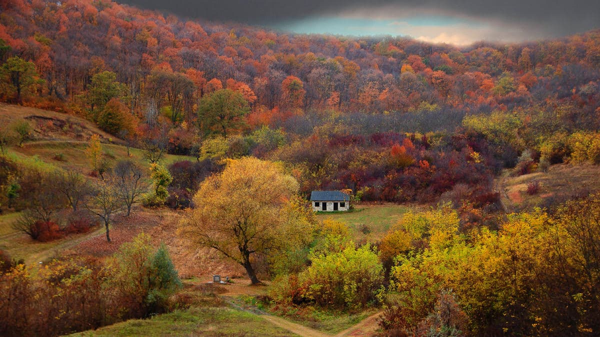 Landschaft in Moldawien, Foto: Maria Lupan / Unsplash