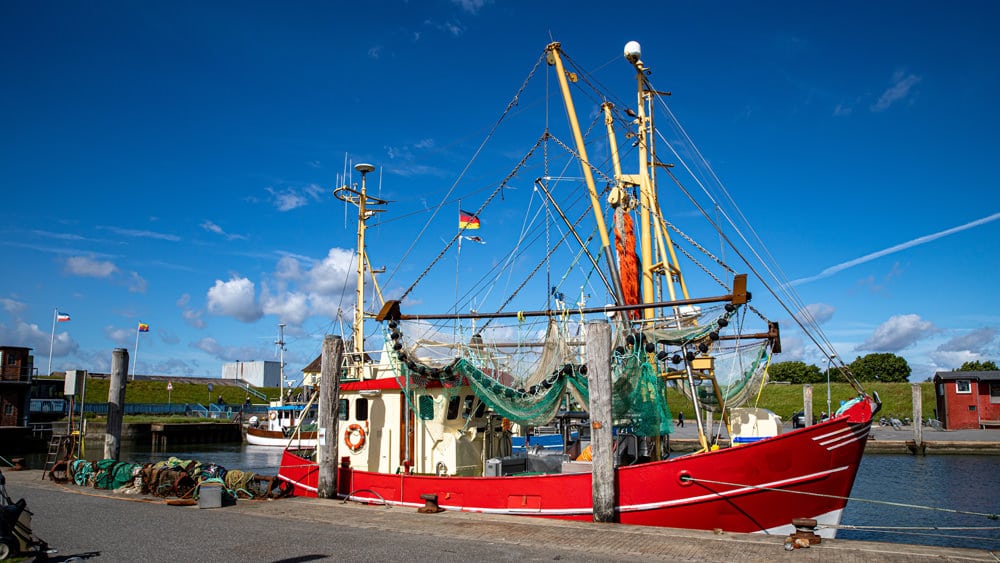 Fischkutter im Hafen von Tammensiel, Foto: AlexWolff68 / Adobe Stock