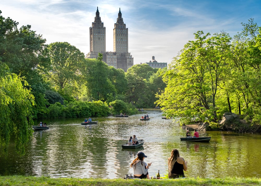 Eine grüne Oase in der Großstadt – der Central Park in New York, Foto: Harry Gillen / Unsplash