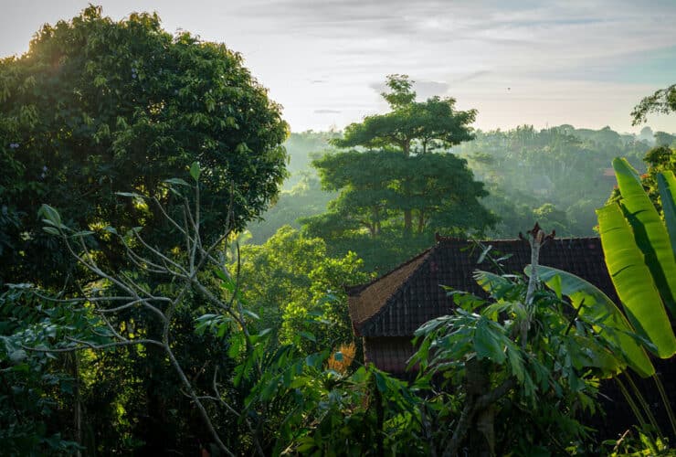 Wer Natur und Luxus verbinden möchte, ist in Ubud genau richtig. Foto: Niklas Weiss / Unsplash