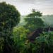 Wer Natur und Luxus verbinden möchte, ist in Ubud genau richtig. Foto: Niklas Weiss / Unsplash