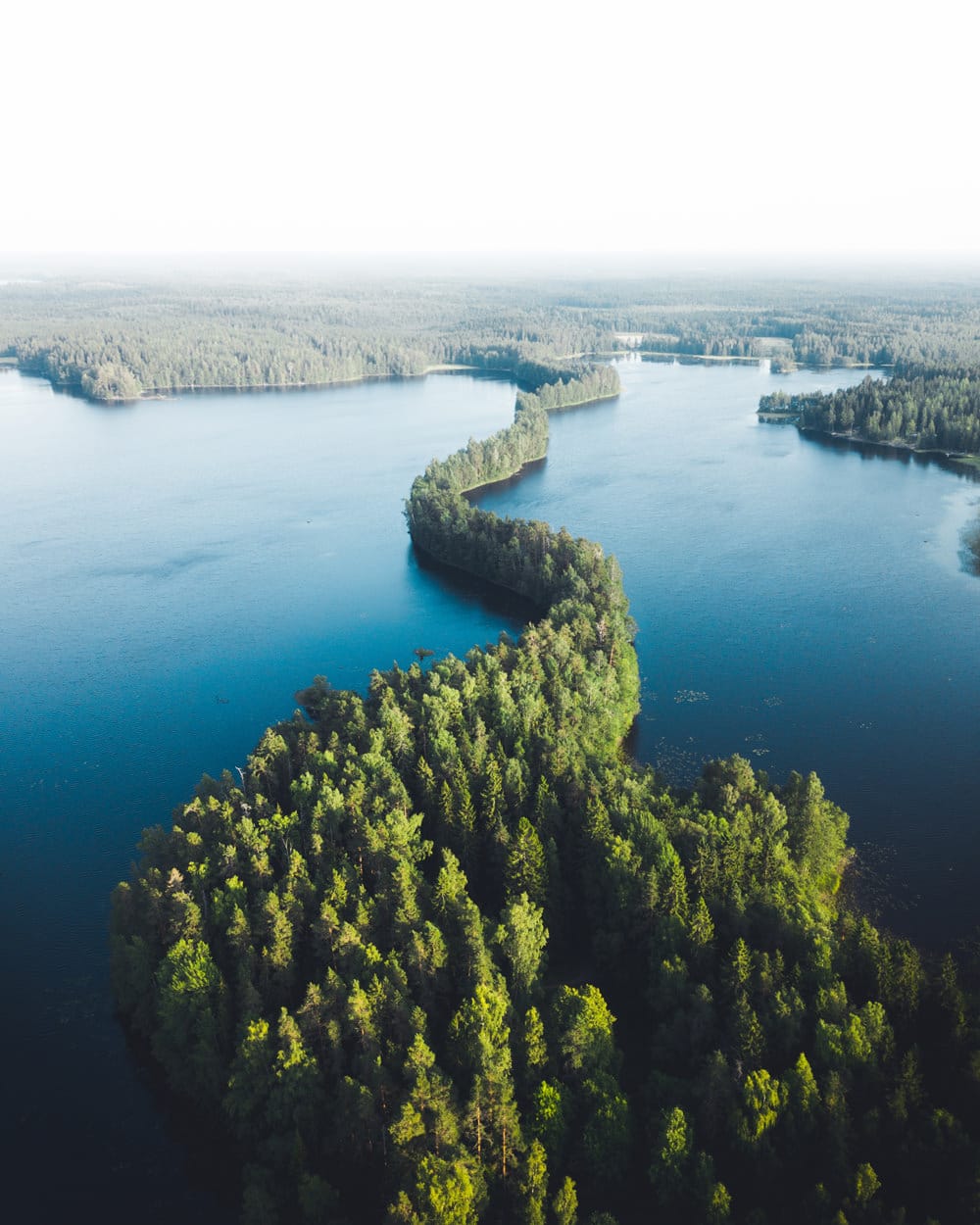Liesjärvi National Park, Foto: Taneli Lahtinen / Unsplash
