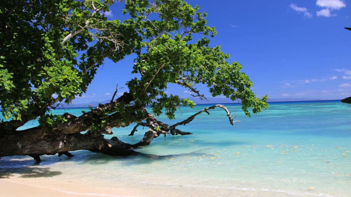 Taveuni Island, - eine Insel der Fidschis, Foto: Manuela Tauferner / Unsplash