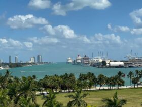 Ein Teil des Hafens von Miami, Foto: Faith Crabtree / Unsplash