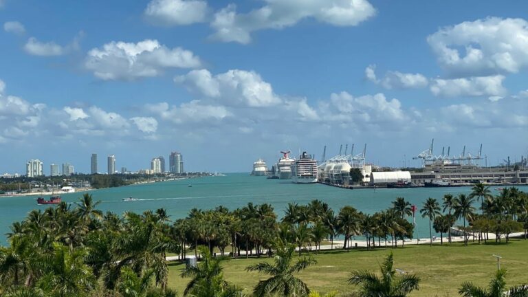 Ein Teil des Hafens von Miami, Foto: Faith Crabtree / Unsplash