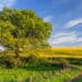 Die Holsteinische Schweiz hat einiges zu bieten, Foto: Thorsten Schier / Adobe Stock