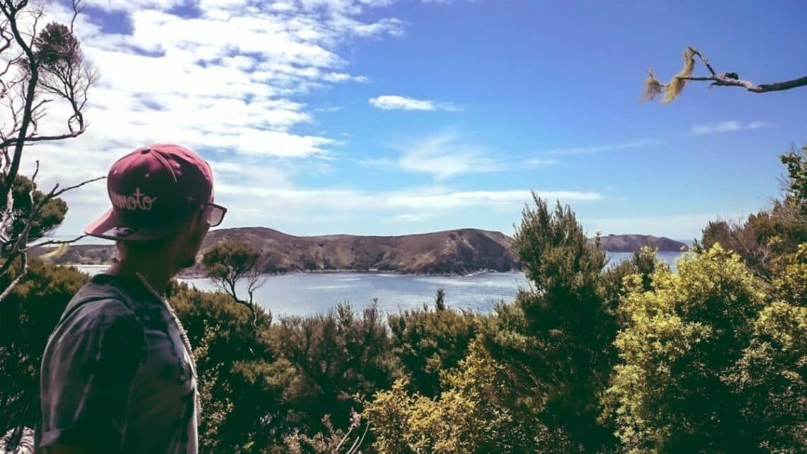 Whangaroa, Neuseeland, Foto: AR / Unsplash