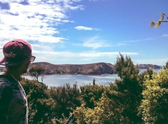 Whangaroa, Neuseeland, Foto: AR / Unsplash