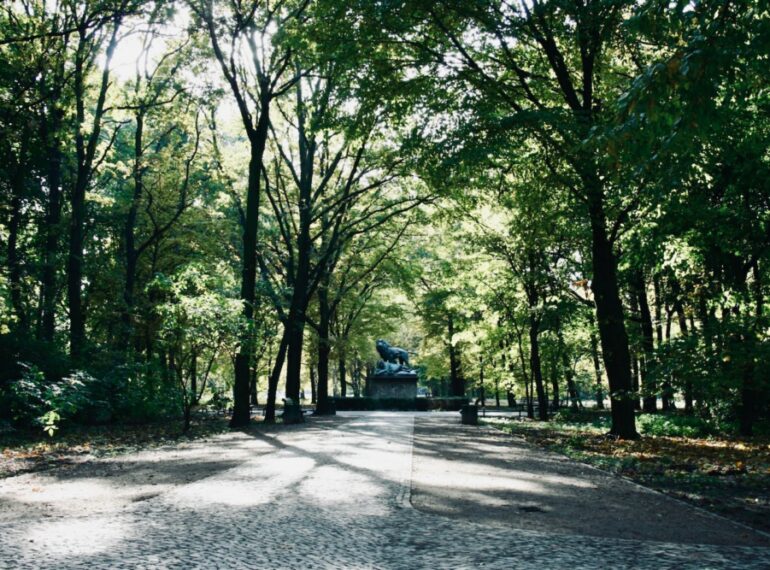 Im Tiergarten kann man sich wunderbar von der Hektik der Großstadt erholen. Foto: Chad Greiter / Unsplash