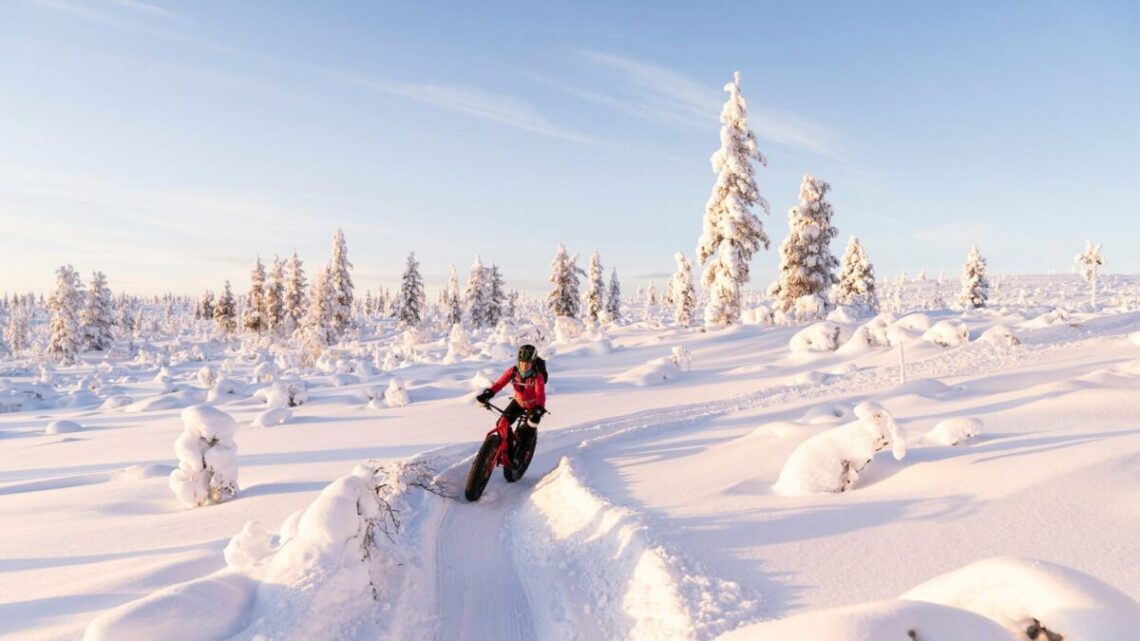 Mit dem Snowbike durch Finnland, Foto: Hendrik Morkel / Unsplash
