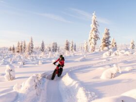 Mit dem Snowbike durch Finnland, Foto: Hendrik Morkel / Unsplash