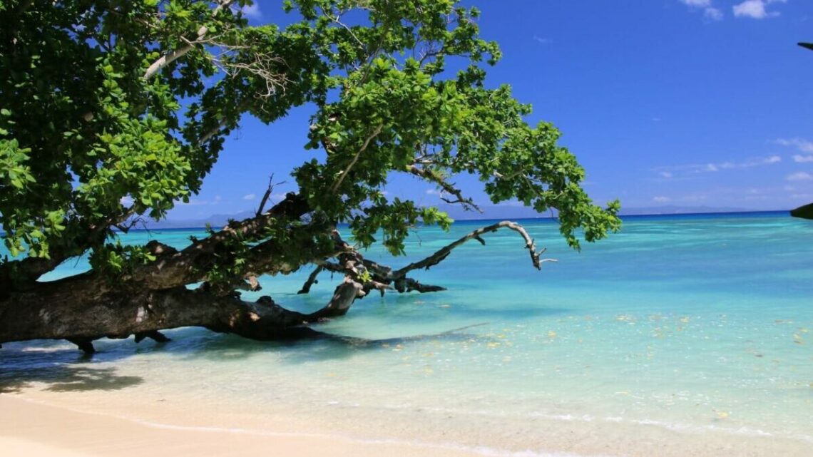 Taveuni Island, Fidschi, Foto: Manuela Tauferner / Unsplash