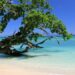 Taveuni Island, Fidschi, Foto: Manuela Tauferner / Unsplash