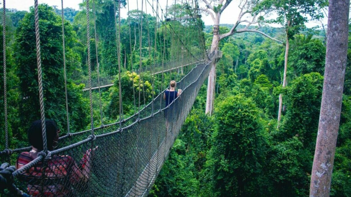 Hängebrücke in Kakum Canopy, Cape Coast, Ghana, Foto: orva studio / Unsplash