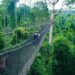 Hängebrücke in Kakum Canopy, Cape Coast, Ghana, Foto: orva studio / Unsplash