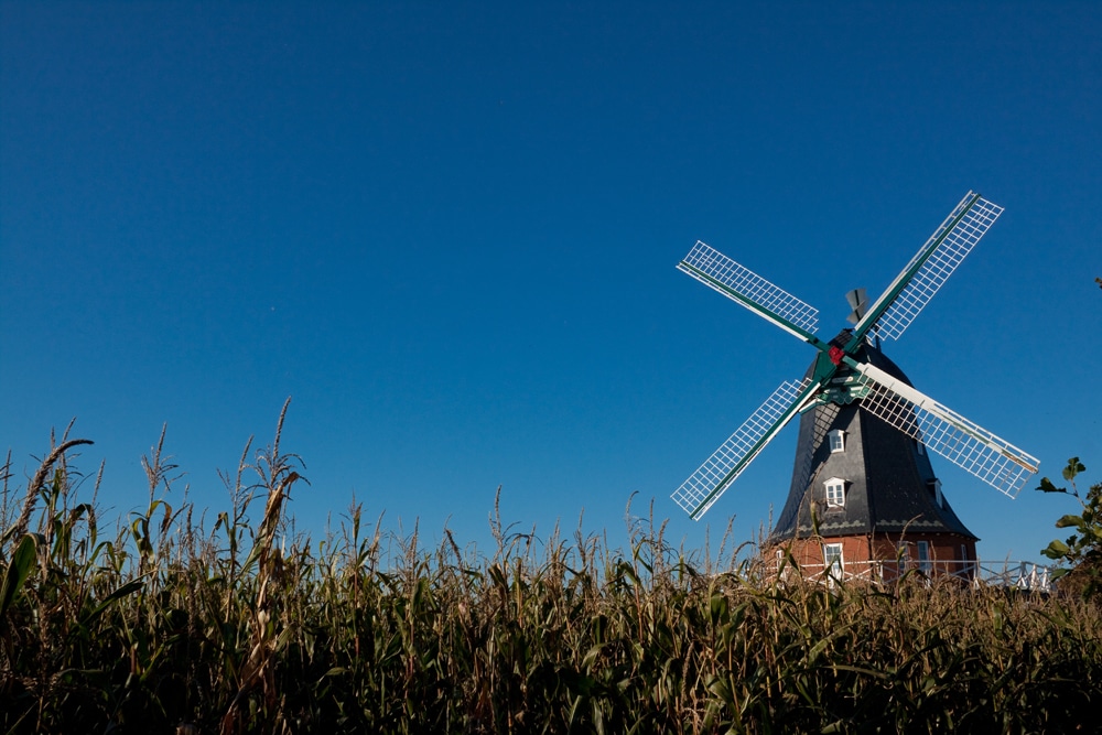 Historische Borgsumer Windmühle auf Föhr, Foto: REMINDFILMS / Adobe Stock