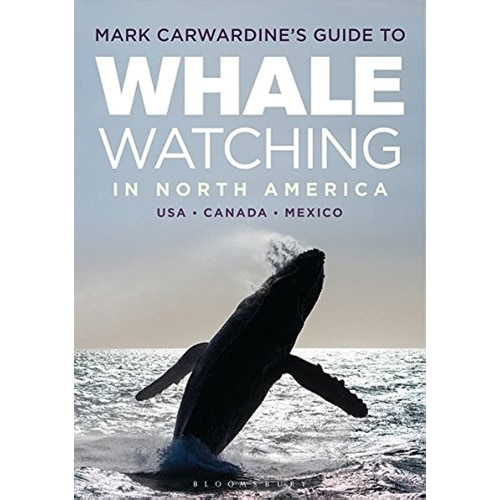 Whale Watching Nordamerika