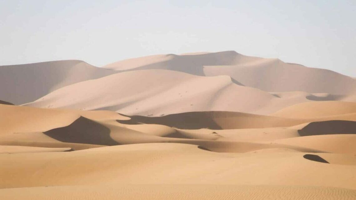 Es gibt in Afrika mehr als nur Wüste zu sehen, Foto: Francisco Gomes / Unsplash