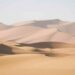 Es gibt in Afrika mehr als nur Wüste zu sehen, Foto: Francisco Gomes / Unsplash