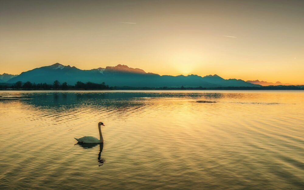 Chiemsee am Abend, Foto: Travis Blessing / Unsplash