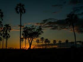 Ruaha-Nationalpark, Foto: Samwel Nsyuka / Unsplash