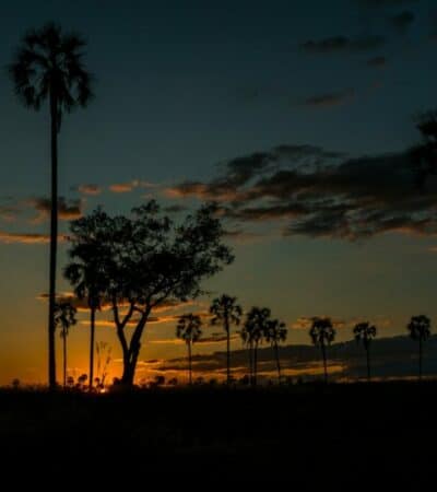 Ruaha-Nationalpark, Foto: Samwel Nsyuka / Unsplash