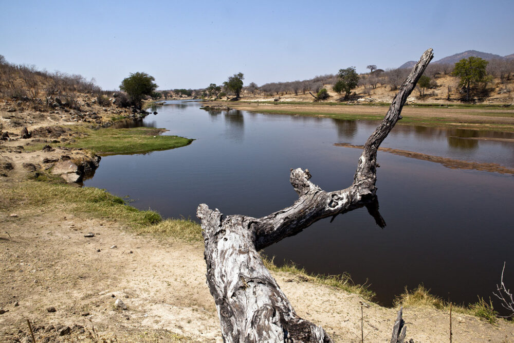 Great Ruaha River, Foto: Massimiliano / Flickr