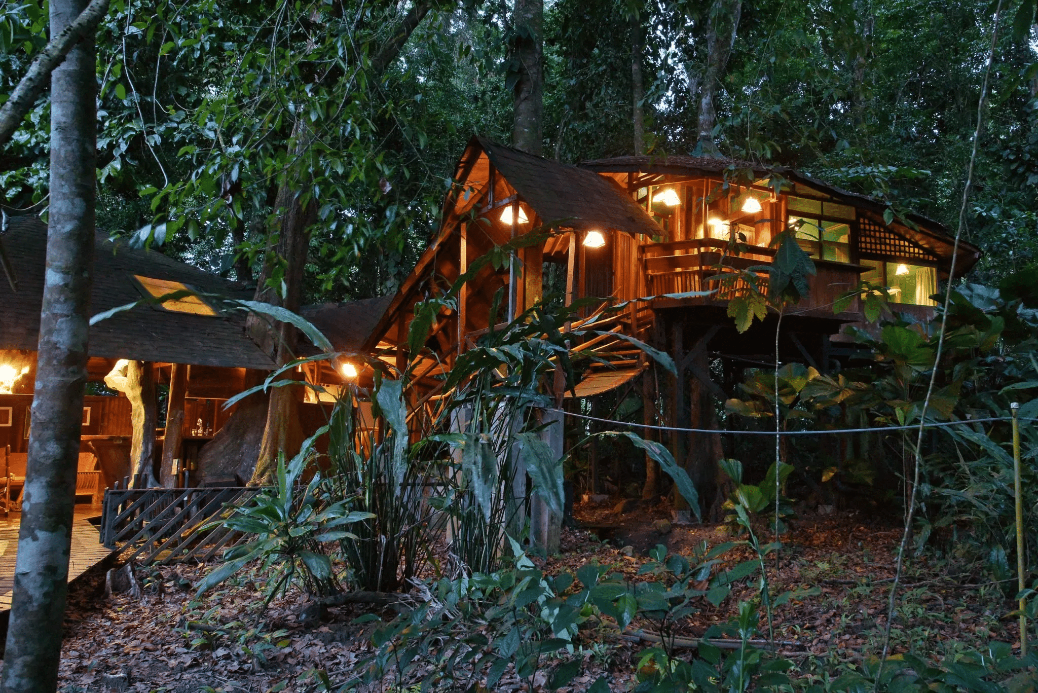 Foto: Tree House Lodge