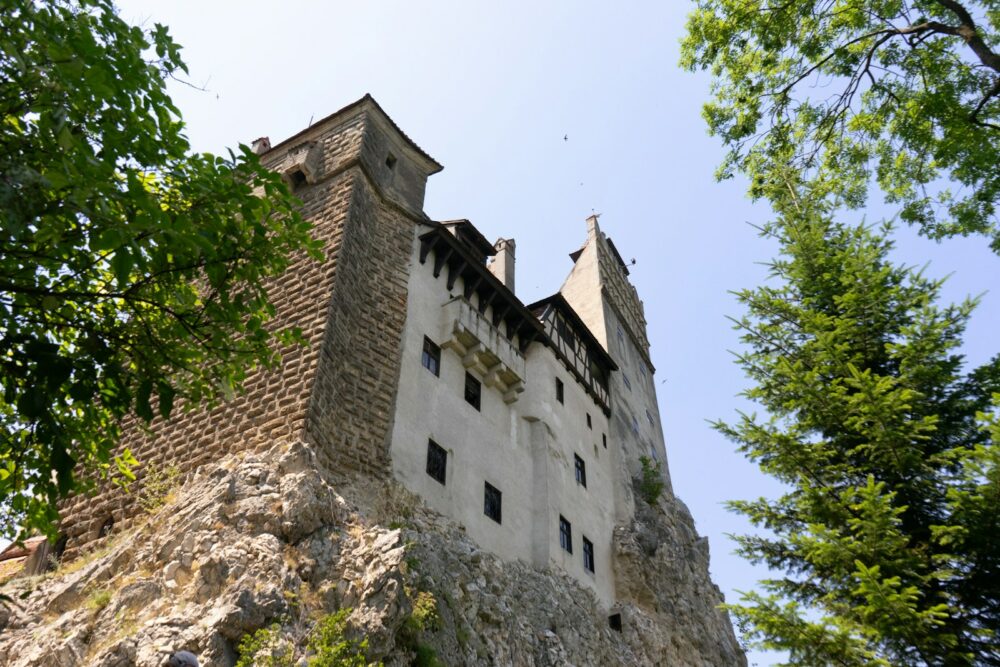 A tall castle sitting on top of a lush green forest