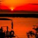 silhouette of people on boat on sea during sunset