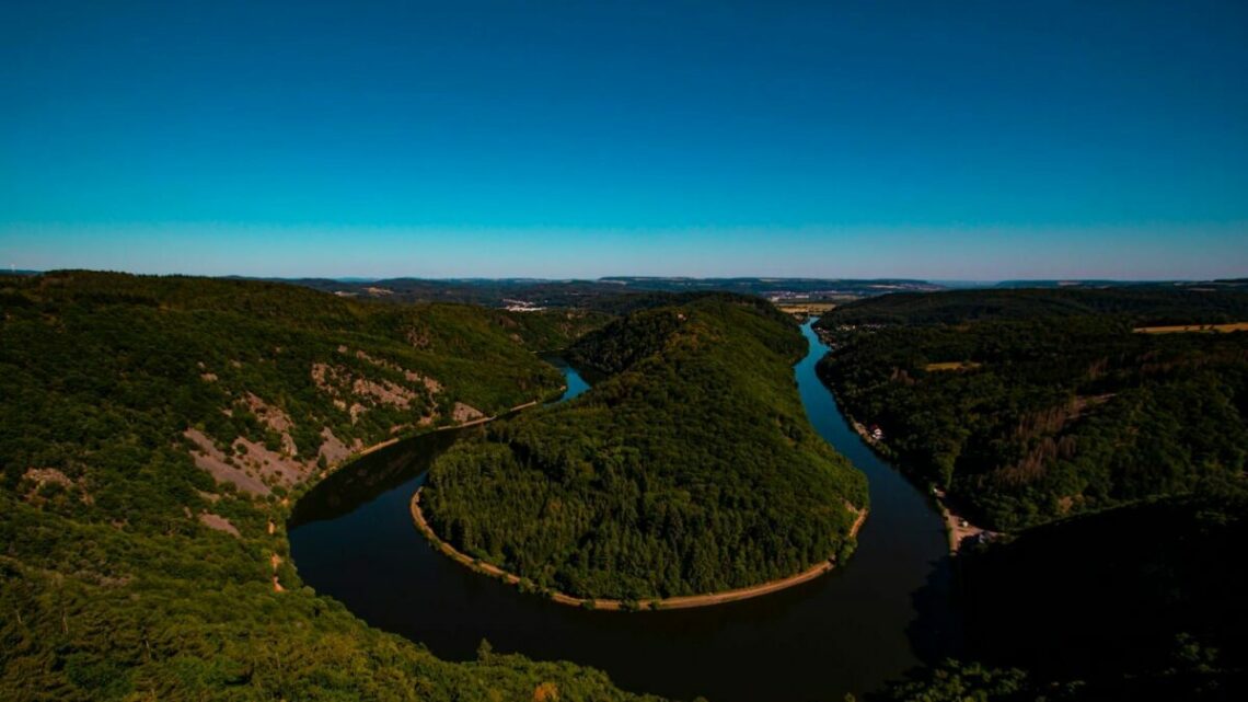 aerial view of green trees and river during daytime