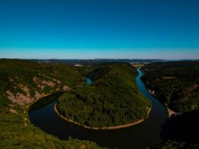 aerial view of green trees and river during daytime