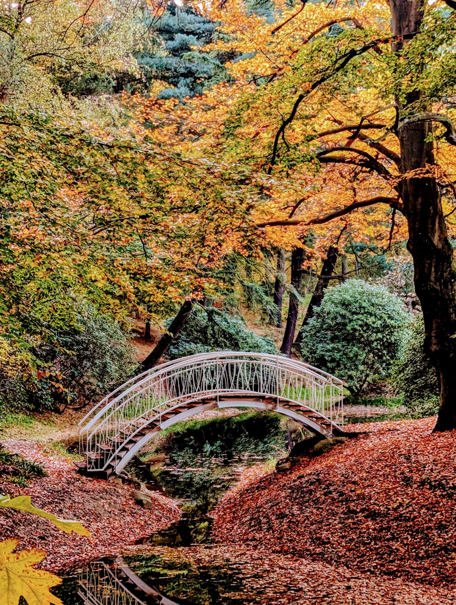 Azaleen- und Rhododendronpark Kromlau, Foto: Jon Henning / Unsplash