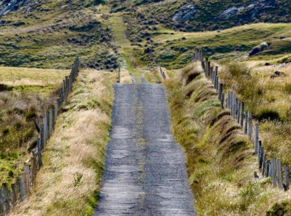 an empty road in the middle of a grassy field