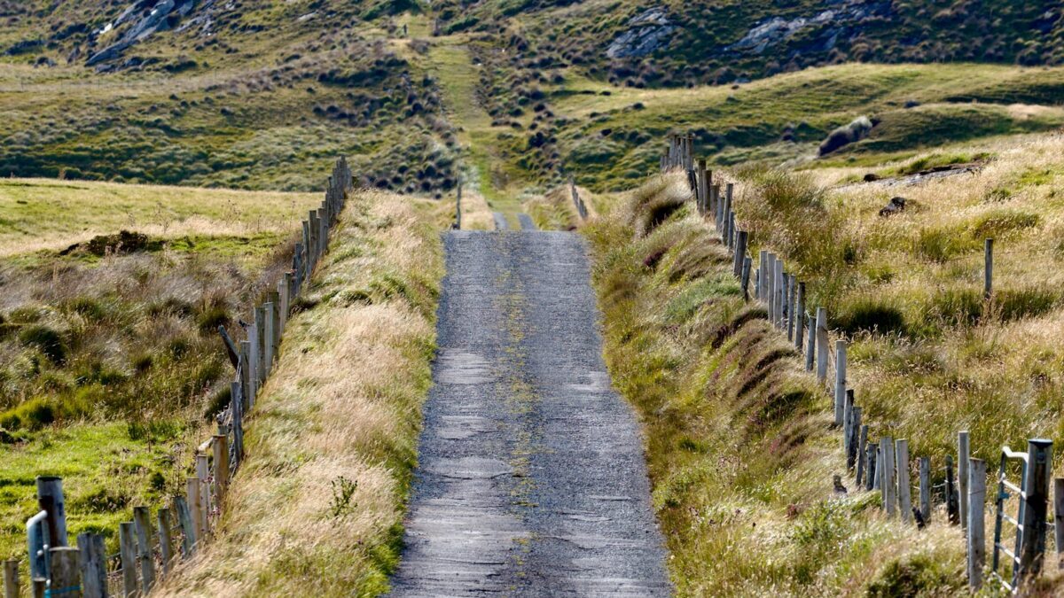 an empty road in the middle of a grassy field