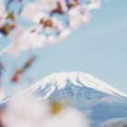 Blick auf den Mount Fuji, Foto: Kumiko SHIMIZU / Unsplash
