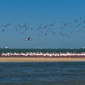 An der Küste von Walvis Bay, Foto: Andrew Svk / Unsplash